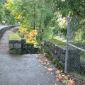 Footbridge Trailhead for the Wilson River Trail. A sturdy footbridge crosses the Wilson River.
