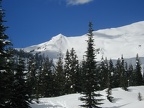 Slopes of Mt. St. Helens