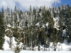 Waterfall at June Lake