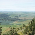 Looking southwest from Kamiak Butte, you can see the yellow flowers covering portions of the slopes in June.