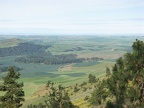 Looking southwest from Kamiak Butte, you can see the yellow flowers covering portions of the slopes in June.