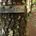 There are elevation signs every 1,000 feet to show how high you have climbed up towards the summit of 3,226 feet on the King's Mountain Trail in the Tillamook State Forest, Oregon.