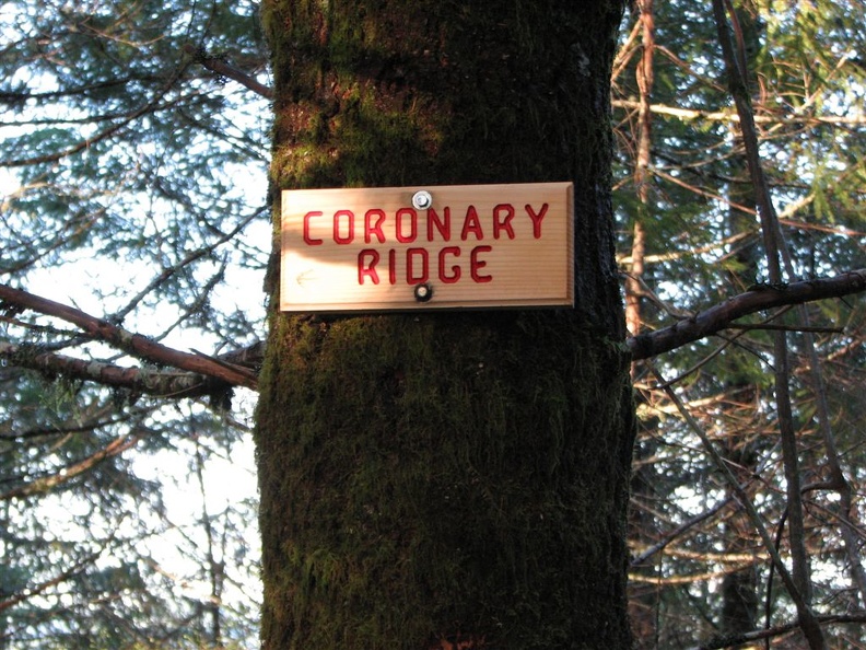 A local name for the final section of the trail that climbs steeply up to the summit on the King's Mountain Trail in the Tillamook State Forest, Oregon.