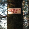 A local name for the final section of the trail that climbs steeply up to the summit on the King's Mountain Trail in the Tillamook State Forest, Oregon.