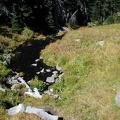 A spring flows into of Lodi Creek in Berkeley Park at Mt. Rainier National Park.
