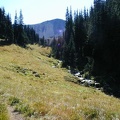 The Northern Loop hiking trail near Berkeley Park above Lodi Creek at Mt. Rainier National Park. 