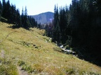 The Northern Loop hiking trail near Berkeley Park above Lodi Creek at Mt. Rainier National Park. 