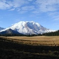 Mt. Rainier from Grand Park in Mt. Rainier National Park. 