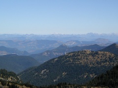 Looking north into the Huckleberry Basin between Sunrise and Frozen Lake.