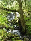 clear waterfall