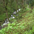 Latourell Creek from the trail