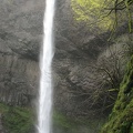 Lower Latourell Falls