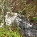 Looking down from the upper viewpoint. This is the top of Latourell Falls