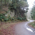 Leif Erikson Trail near the trailhead.