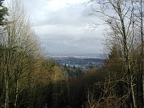 St. Johns Bridge and the Willamette River.