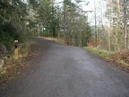 View of the trail near the trailhead.