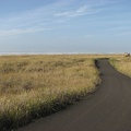 A picture looking northward on the paved portion of the Lewis and Clark Discovery Trail heading towards Long Beach, WA.
