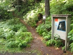 Lewis River Trailhead along Forest Road 90 about 1 mile west of the Lewis River near the Lower Falls Recreation Area Campground.