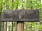 Trail Junction sign for Bluff Trail #24 from the Lewis River Trail.