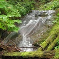 A small waterfall along the Lewis River Trail.