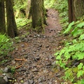 A rocky section of the Lewis River Trail near the Bolt Shelter.
