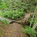 Broken bridge along the Lewis River Trail.