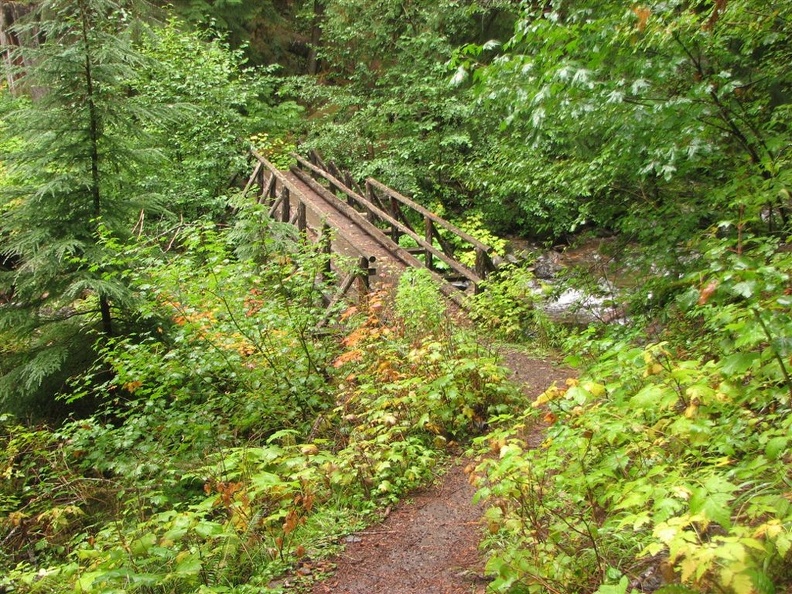 Log bridge on the Lewis River Trail in the fall of 2008.