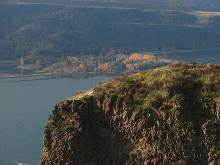 Looking across the Columbia, you can see some trees holding on to their fall foliage in November.