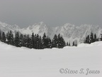The snow just before the line of trees are many small cornices created from strong west winds blowing across Paradise Valley.