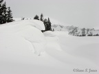 Detail of one of the small cornices. A steep 500 foot drop to Paradise Valley is to the left of these cornices.