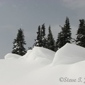 A steep 500 foot drop to Paradise Valley is to the right of these cornices and snow drifts.