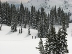 Frank and Kip snowshoeing down Mazama Ridge for a lunch at Reflection Lakes.