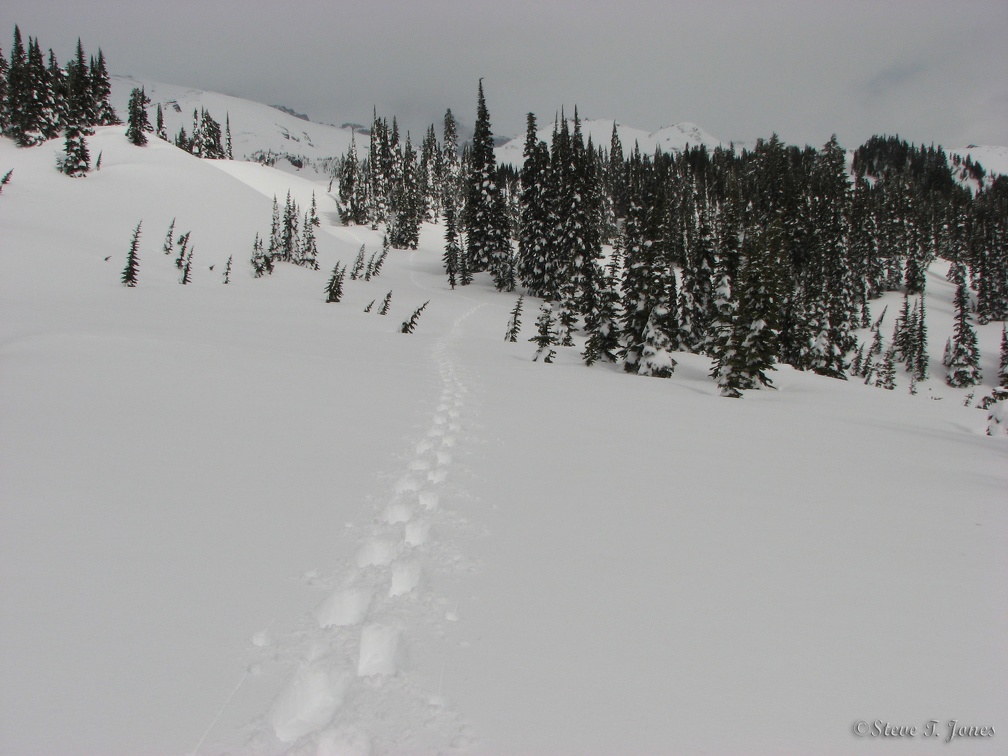 I practised routefinding by fixing on a distant point and going in a straight line along Mazama Ridge.