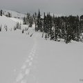 I practised routefinding by fixing on a distant point and going in a straight line along Mazama Ridge.