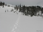 I practised routefinding by fixing on a distant point and going in a straight line along Mazama Ridge.