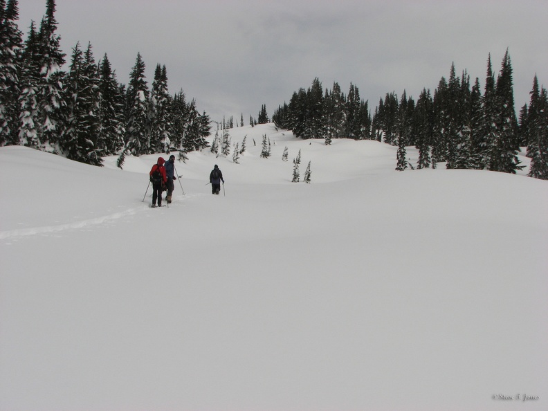 Snowshoers heading up Mazamza Ridge, breaking trail. The snow was becoming heavy and wet as the day warmed up.