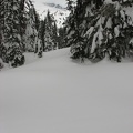 Looking towards Mt Rainier from the spot Kevin and I camped three weeks ago. Not a bump remains of Kevin's snow wall.