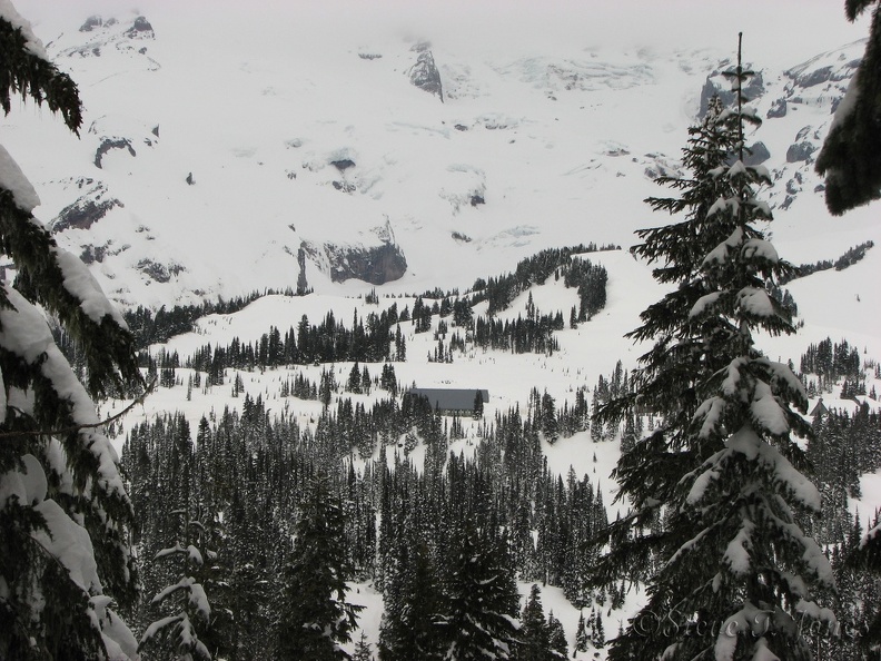 Looking across Paradise Valley from Mazama Ridge at the Jackson Visitor Center.