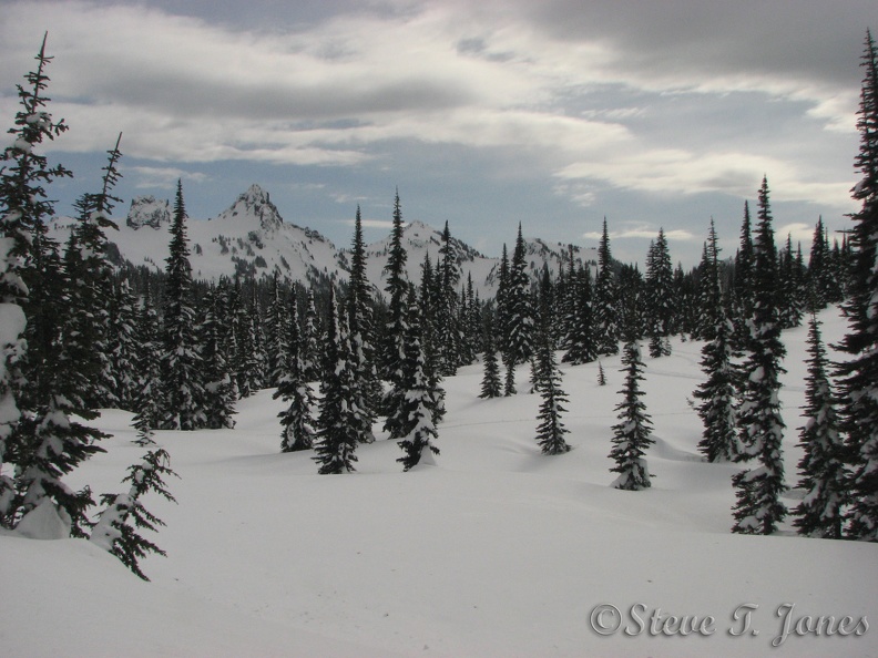 Pinnacle Peak is very distintive from Paradise.