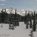 Another picture taken from Barn Flats along the Narada Trail.