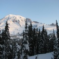 Mt. Rainier rises majestically above everything early in the morning.