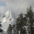 Pinnacle Peak in the Tatoosh Range looks like a matterhorn. What a view from our camp!