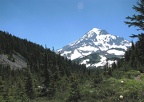 Ridges from Mt. Hood define the landscape at Cairn Basin. The Timberline Trail meets the trail to Eden Park here.