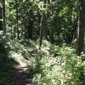 The lower portion of the Mazama Trail has dappled sunlight on the trail.
