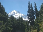 Mt. Hood towers above the landscape and the trees become smaller as the latitude increases.