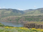 Looking towards Washington across the Columbia River Gorge from Rowena Crest at Tom McCall Nature Preserve.