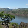 Looking Northwest from the Rowena Plateau Trail across the Columbia River towards Washington. This is near the turn-around point of the trail.