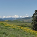 Parts of the hillside are covered with Balsamroot. This view is to the northwest.