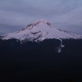 Such great views of Mt. Hood at the top of the trail