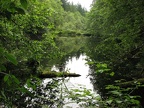 About 1/2 mile from the Hantwick Road Trailhead is a pond about 2 acres in size surrounded by trees. The trail passes by on the south side of the pond.